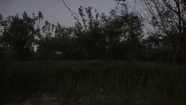 Охота на птиц сетью. Ловля Чечевиц. Весенняя охота на сеть. Удачная охота. смотреть онлайн