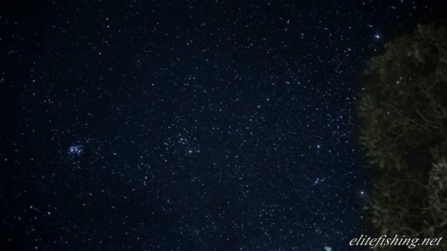 Elitefishing.net представляет: звездное небо тропиков Коста Рика смотреть онлайн