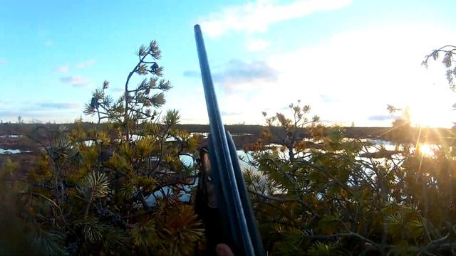 Открытие охоты в Архангельской области 2021 года!!!! смотреть онлайн