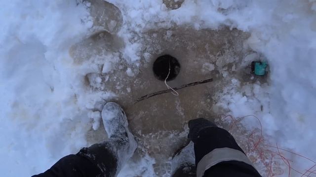 Добираюсь до места рыбалки на лыжах. Ставлю рыболовную сеть под лёд. Ночёвка в избе. Тайга Коми. смотреть онлайн