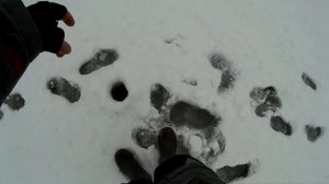 Ловля окуня на блесну зимой. Зимняя блесна Матвейчикова.