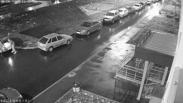 Воруют сосны 05.06.2017 Б.Техническая 11 смотреть онлайн