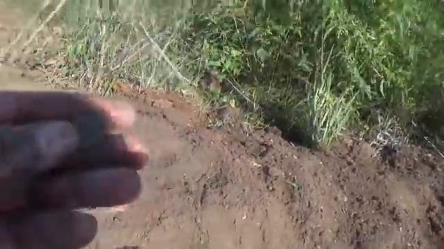 #Шурф-совет. Как найти место для шурфа, когда его не видно!