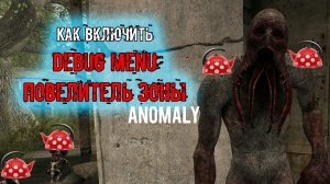 как включить Дебаг меню Debug menu  Спавнер Повелитель зоны сталкер Anomaly H.A.Z.E Reloaded
