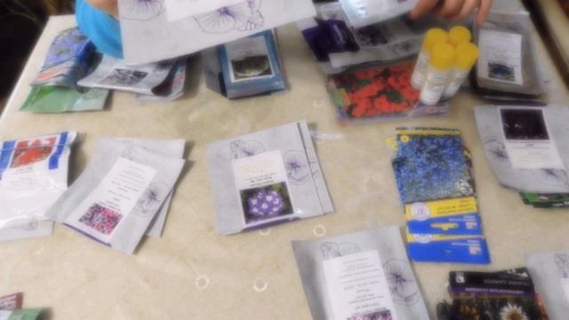 Обзор семян однолетних цветов на рассаду (сальвия, петуния, виола, лобелия, гацания, вербена и др) смотреть онлайн