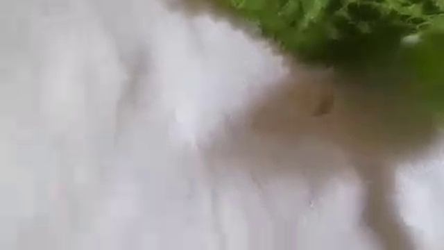 Кто создал ажур на листьях хрена? смотреть онлайн