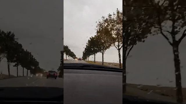 Красивая музыка в дороге.... смотреть онлайн