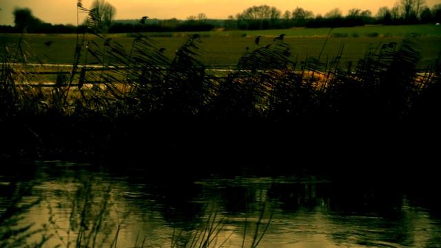 Matthias Ernst Holzmann, Bass; Björn Huestege, Klavier: Come, Months, Come Away - Autumn: A Dirge смотреть онлайн