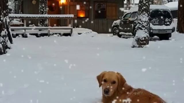 "СЛЕПОЙ ХУДОЖНИК" Стихи Ирина Стефашина. смотреть онлайн