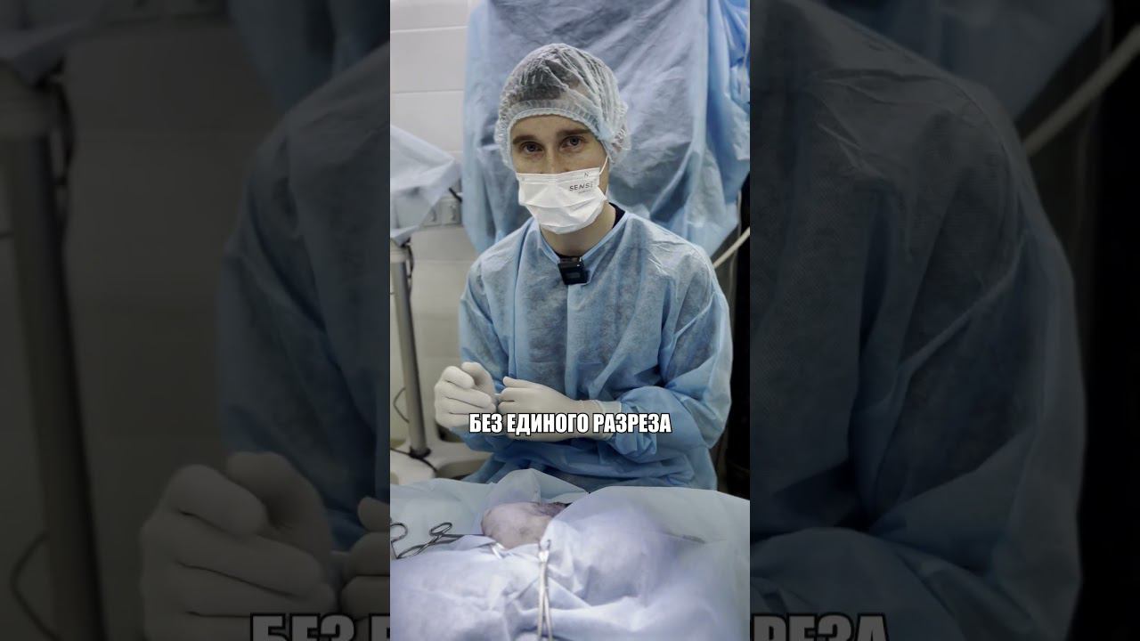 Перелом лапы у кота, сможет ли он ходить? #ветеринария #кошка #помощь #клиника #операция #хирургия смотреть онлайн