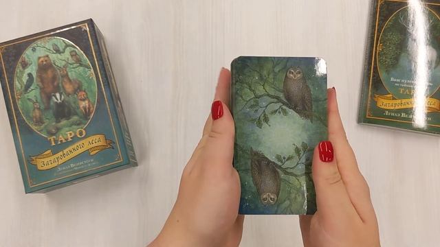 Таро Зачарованного леса (78 карт и руководство по работе с колодой в подарочном оформлении) смотреть онлайн
