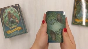 Таро Зачарованного леса (78 карт и руководство по работе с колодой в подарочном оформлении)