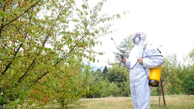 Вот почему ЭТО происходит с Нашей планетой смотреть онлайн