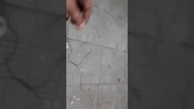 Кондиционер для перепелятника с минимальными затратами энергии, своими руками, часть 3 смотреть онлайн