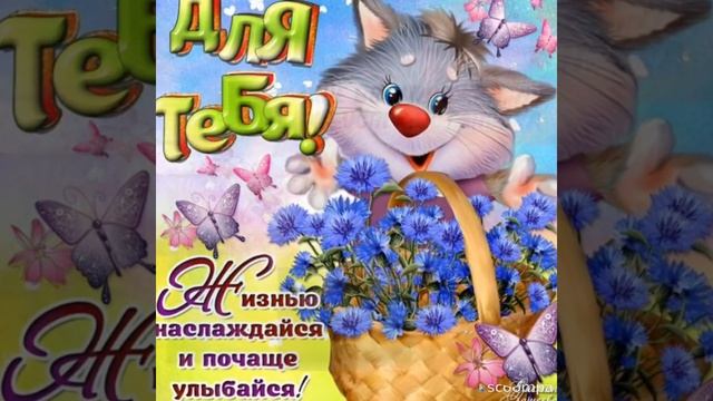 Пожелания для подруги, просто @ смотреть онлайн