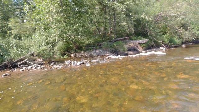 Река Сукпай смотреть онлайн