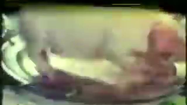Bandscan Astra satellites 1994 смотреть онлайн
