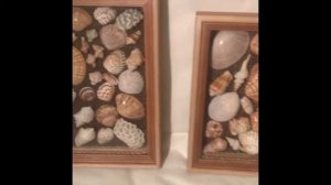 Картины из морских ракушек