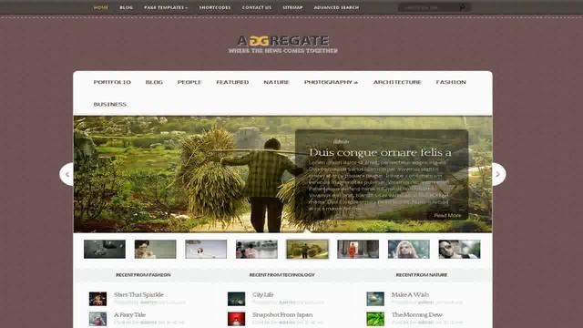 Wordpress premium themes смотреть онлайн