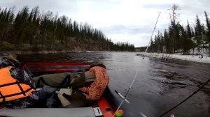 Летняя рыбалка. Хариус 2024 начало сезона.