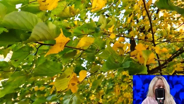 Настя бросила ферму, ради карьеры певицы и уехала в город. Но когда она вернулась в деревню... смотреть онлайн