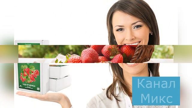 Чудо ягодница сказочный сбор | Выращивай клубнику дома! смотреть онлайн