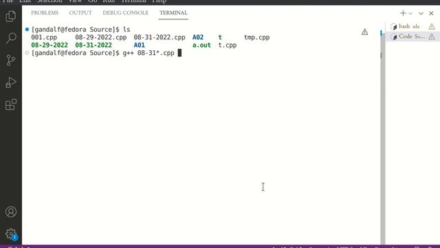 Executing in Terminal with VS Code смотреть онлайн