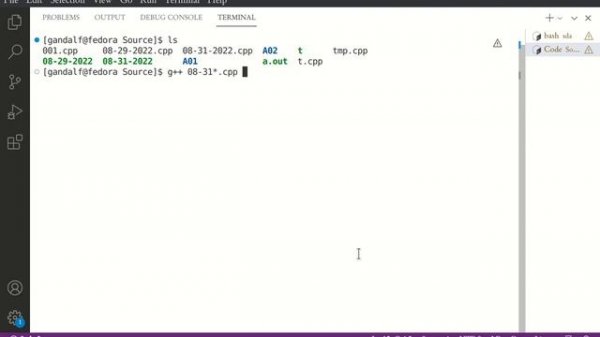 Executing in Terminal with VS Code