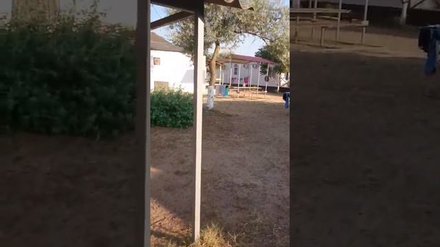 Благовещенка Белый берег смотреть онлайн