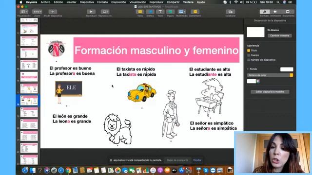 СУЩЕСТВИТЕЛЬНЫЕ В ИСПАНСКОМ. LOS SUSTANTIVOS. Уроки испанского с носителем смотреть онлайн