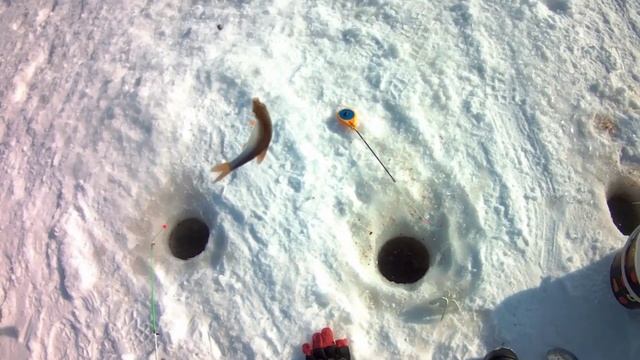 Волго-Донской канал, рыбалка 17.02.2023г. смотреть онлайн