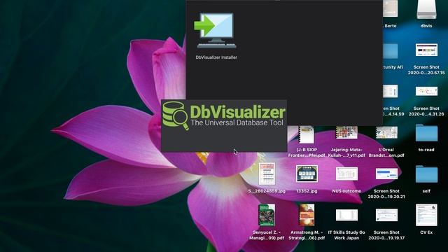 Panduan Instalasi dan Penggunaan DbVisualizer смотреть онлайн