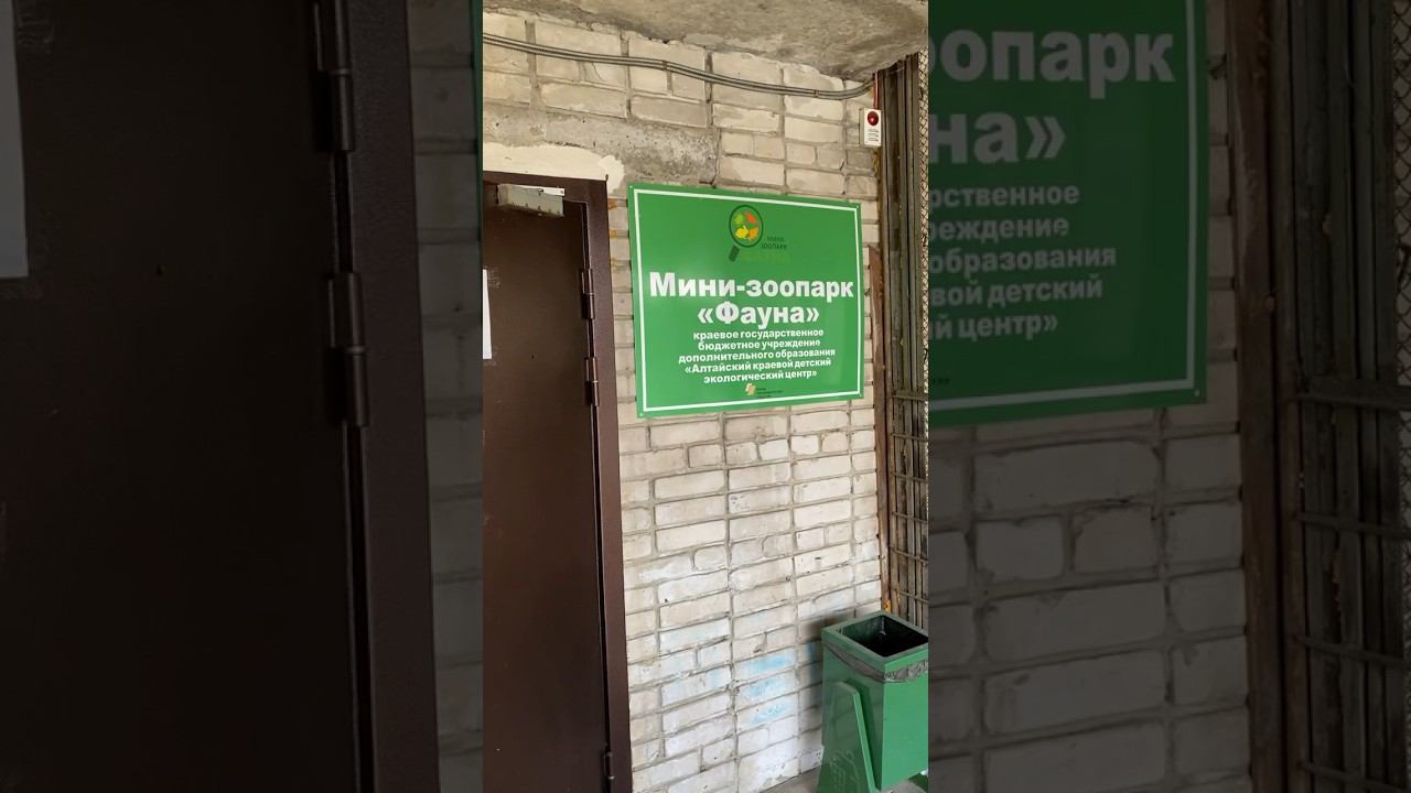 Узнали, что в городе есть такой мини-зоопарк смотреть онлайн