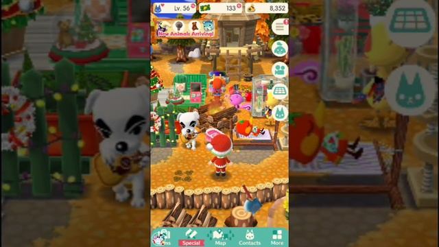 Animal Crossing Pocket Camp: K.K. Slider's Chair IAP! Worth it? смотреть онлайн
