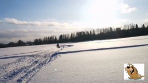 Рысь 440 (119) прыжки по снегу. Замер максимальной скорости