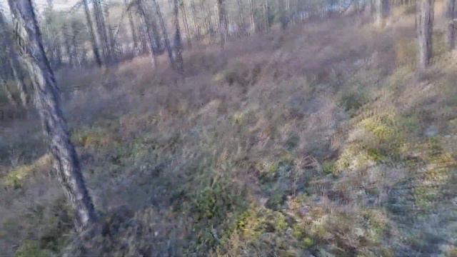 Часть 3. Тайга якутии. смотреть онлайн