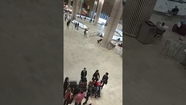 Граница Израиль пошагово смотреть онлайн