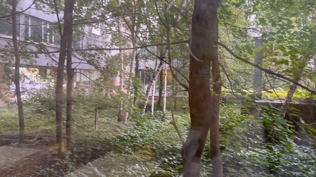 VLOG: Первая неделя учебы на 2 курсе медицинского | будни студента медика | учеба в меде смотреть онлайн