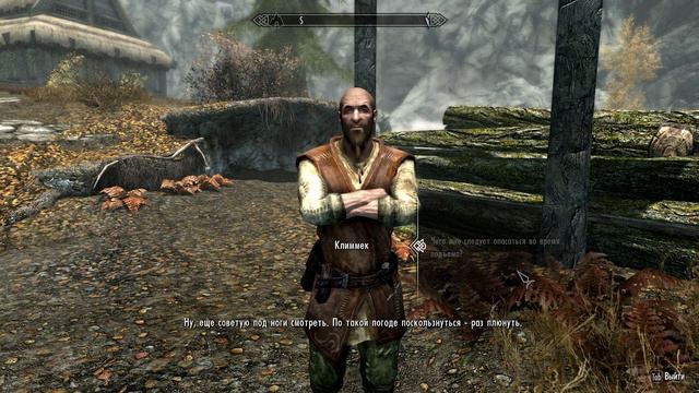 СЕДОБОРОДЫЕ ▷ The Elder Scrolls V: Skyrim Anniversary Edition #8