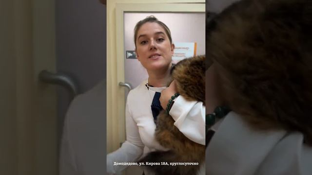 Экскурсия по ВЦ МЕДВЕТ Домодедово смотреть онлайн