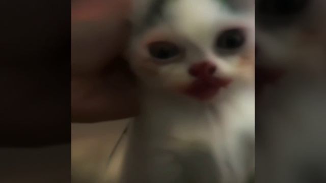 fun cat смотреть онлайн