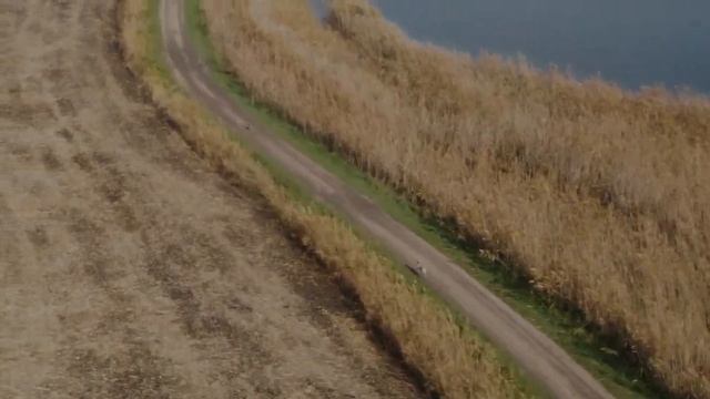 Хитрый заяц и упёртые Тазы. Видео с КВАДРОКОПТЕРА. Tazy's work смотреть онлайн