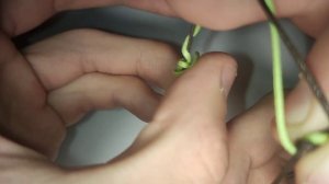 УЗЕЛ ОТ ПЕТРА МИНЕНКО! КАК связать две лески между собой? подробная инструкция[КАК СВЯЗАТЬ]#6