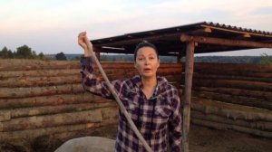 Венгерская мангалица.