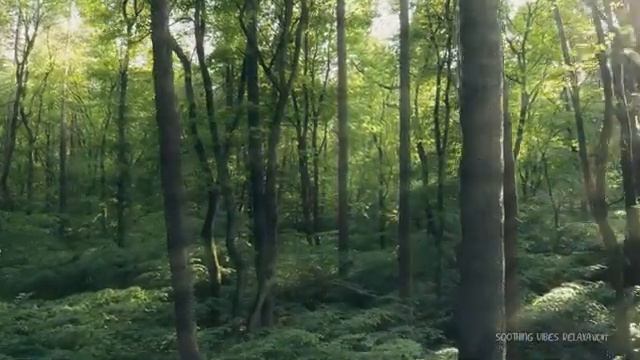 Beautiful Relaxing Music - Stop Overthinking, Stress Relief Music, Sleep Music, Calming Music смотреть онлайн