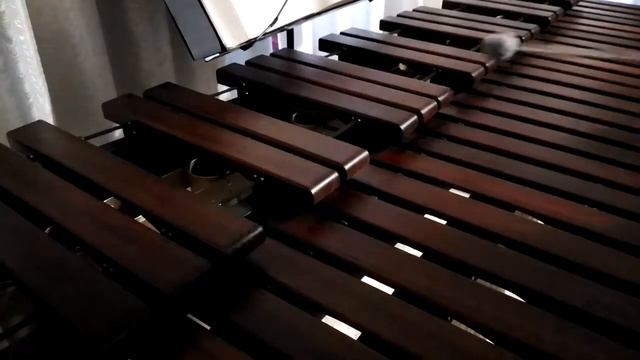 Inni di lode N°209: Oh! Beati nel riposo Marimba Cover смотреть онлайн