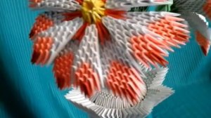 Модульное оригами, георгины / Modural origami, dahlias.