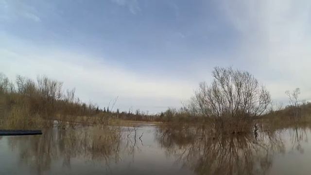 Рыбалка на р.Обь. Спининг. Утиная охота. Боровая охота в Томской области смотреть онлайн