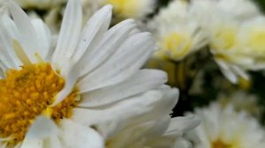 Отдай свою жизнь 1 - 4 серии | Мелодрама 2021