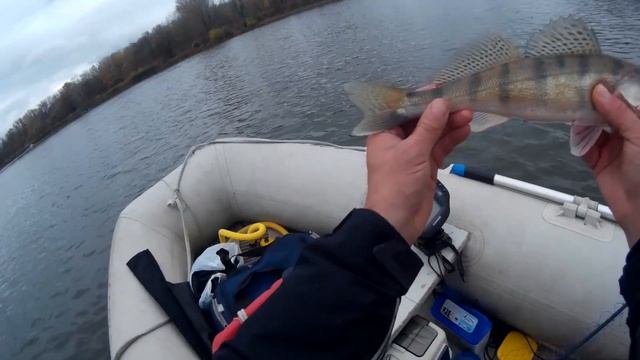 Секреты успешной джиговой ловли. Ловля судака на джиг. Охотники по рыбалке. смотреть онлайн